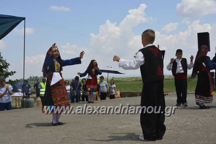 alexandriamou.gr_trikala28.5.2018210